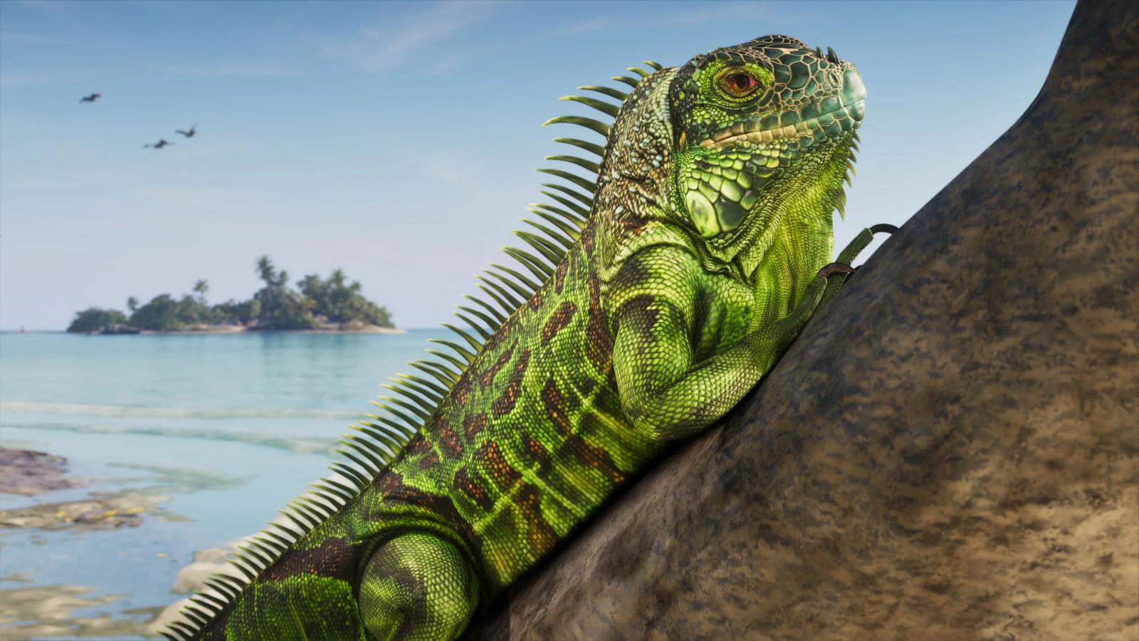 A green iguana sunning on a rock above turquoise water in GTA 6, official screenshot