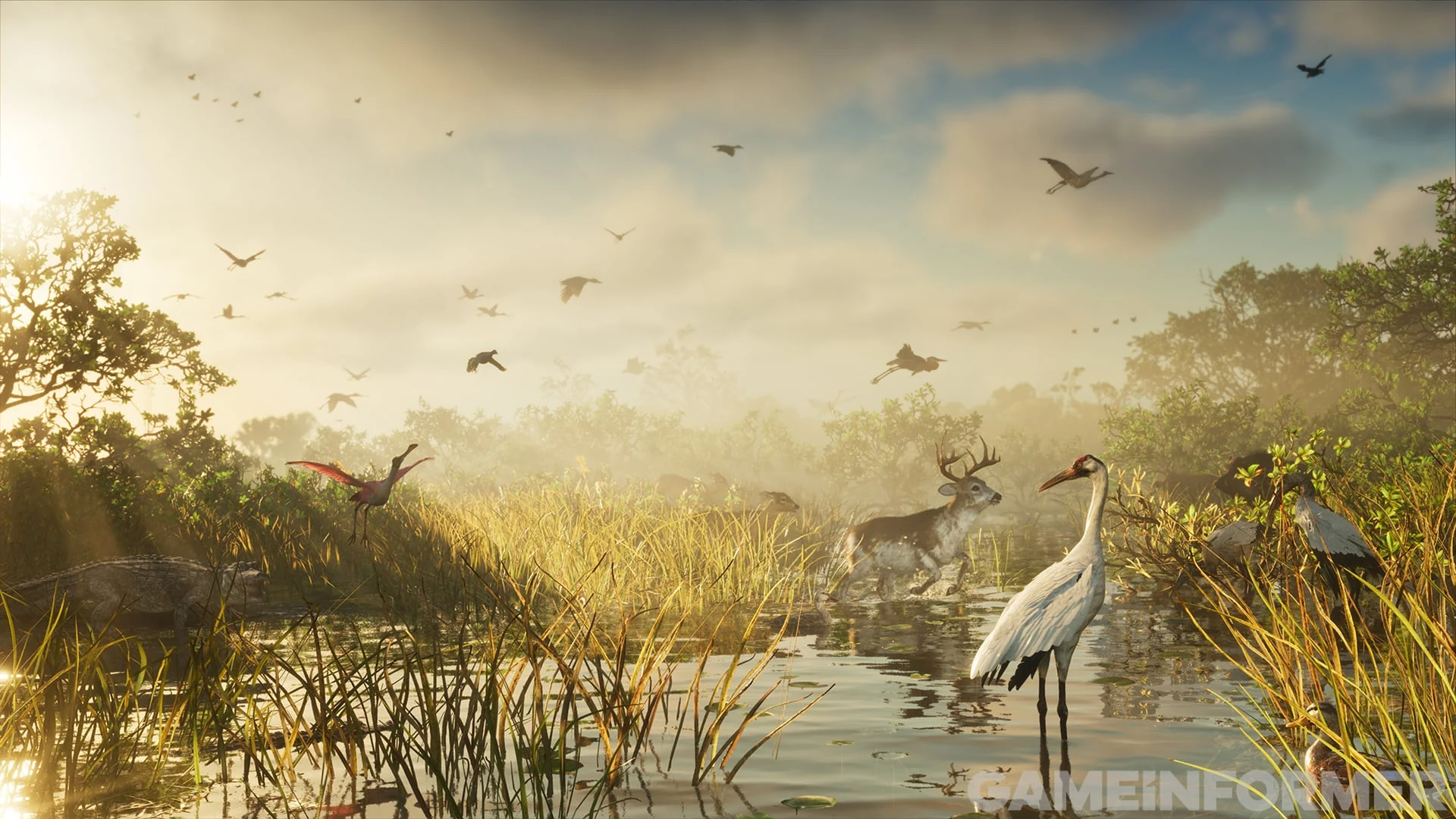 A Grassrivers wetland at sunrise with an alligator, a roseate spoonbill, a white-tailed buck, a crane and wood storks
