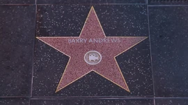 Barry Andrews