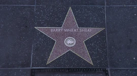 Barry Wheatsheaf