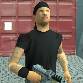 Container Guard