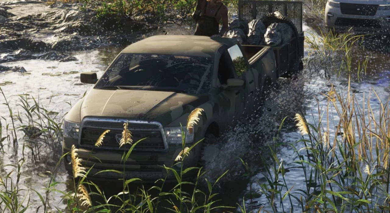 Bison