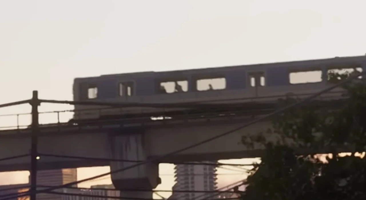 Metrorail Train