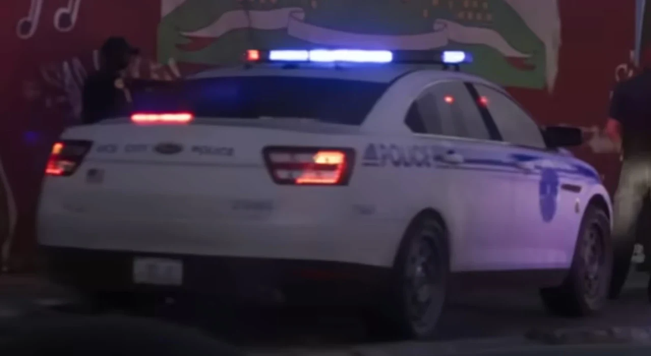 Police Cruiser (Interceptor)