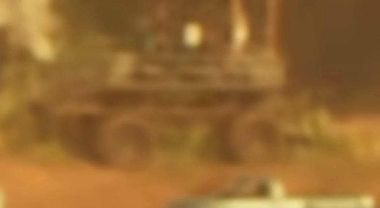 Swamp Buggy