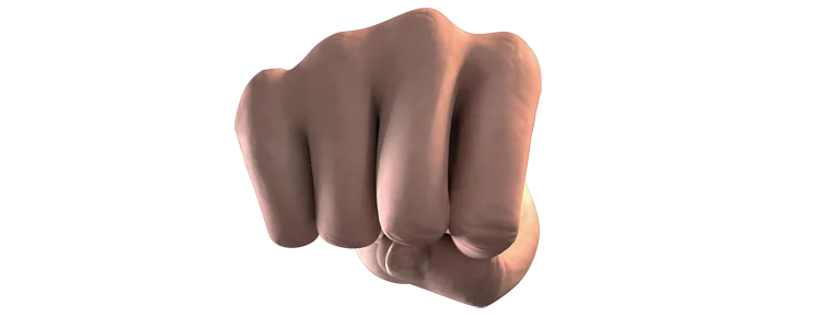 Fist